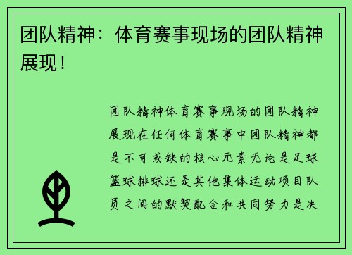 团队精神：体育赛事现场的团队精神展现！